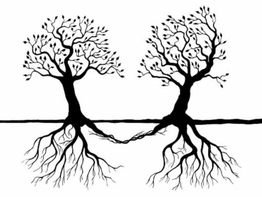 تصویر استعاری از دو درخت که ریشه‌هایشان در هم گره خورده‌اند، نمادی از روابط به هم تنیده و هم‌وابسته (codependency).
